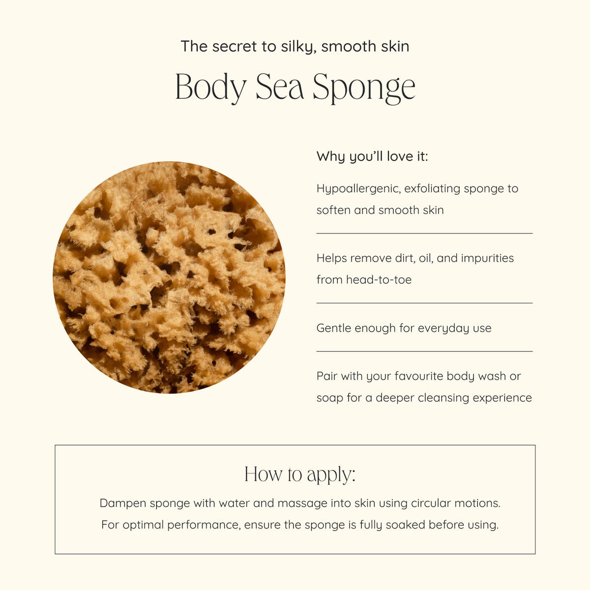 files/BodySeaSponge.jpg