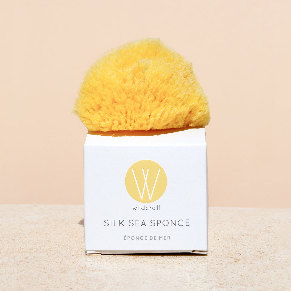 Silk Sea Sponge on a box