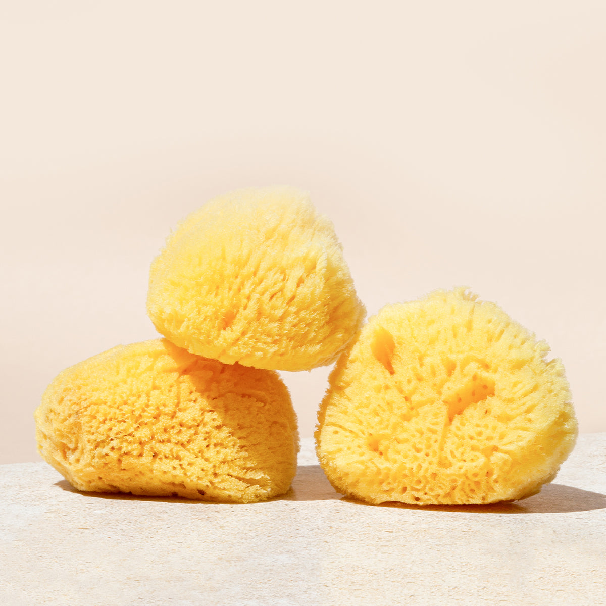 Three sea sponges stacked together